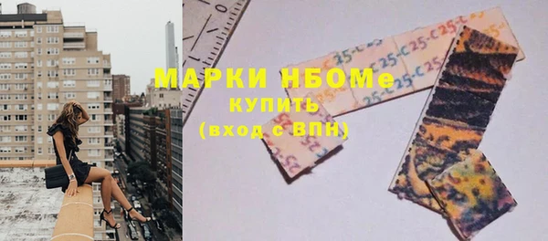 индика Баксан