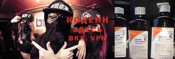 индика Баксан
