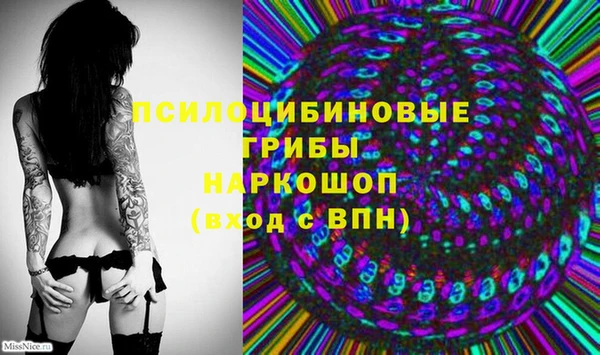 индика Баксан