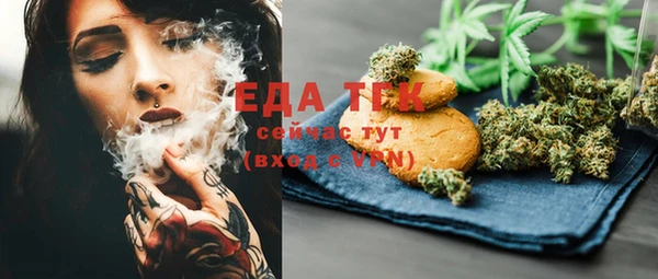 индика Баксан