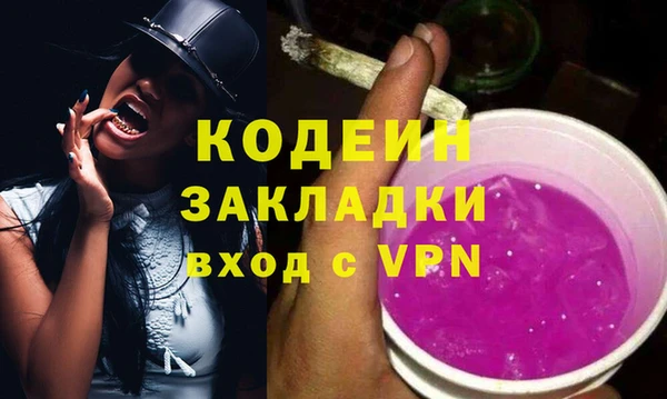 индика Баксан
