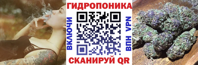 Купить где  Жиздра  Марихуана конопля 